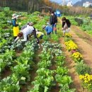 이상태농장 이미지