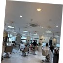 세종헤어샵 - 유성구 | 세종헤어샵