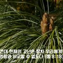 [성경필사] 넘지 못할 산이 있거든 _ 2024.07.25 _ 목요일에 주신 말씀 이미지