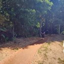 금천배수지근린공원 이미지