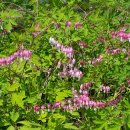 정공세탁소 이미지