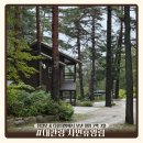 다람쥐쉼터야영장 | [대관령 자연휴양림 숙박후기] 청설모 &amp; 다람쥐방에서 보낸 힐링 2박 3일