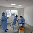 홍금동물병원 이미지