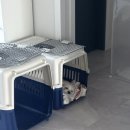 머뭉공간 이미지