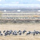 서산버드랜드 전시관(1층) 이미지