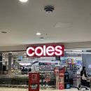 자자 백팩커스 이미지