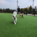 카페 리브어스 이미지