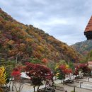 J | 홍천군 캠핑장 추천 J캠핑장 후기