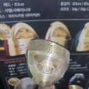 파크골프 클럽 | 손과 팔 안아픈 파크골프채 기가 GP02 파크골프클럽 실물 보고 구매 만족 후기