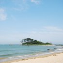 진하해수욕장 이미지