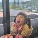 도원능이백숙 이미지