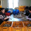 대경농장2 이미지