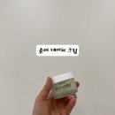 올네이쳐코리아 (ALL Nature) | [미백크림 추천] 비건 보습 화장품 순미 네이처 크림 실사용 후기 (톤업·속건조 케어)