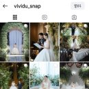 비비드유 vividu