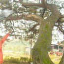 비단강숲마을 이미지