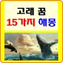 고래꿈호텔 이미지