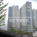 에프에스탄영주 이미지