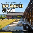 경주 대형카페 듀포레 솔직후기 | 한옥 감성 + 물가 뷰까지 완벽했던 곳