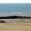 청포대 별주부 이미지