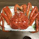 활어도매시장 이미지