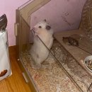 민서농장 | 그리고 갑차기스러운데 10월 취소해도 돼?