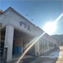 어도참치 이미지