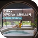 푸른가든민박 | 제주도 2인 숙소 제주 독채펜션 제주 동쪽 함덕 감성숙소