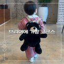 기억한담 | Briller 브리이에 코크스 아기가방, 곰돌이 가방