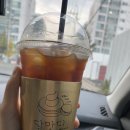 달맛디 이미지