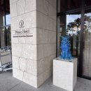 팬더 민박 이미지