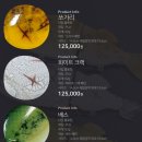 그리드(Greed) 이미지