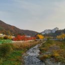 (주)메신저 투어 이미지