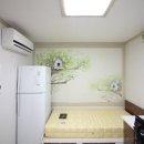 경북대 담장쪽 이미지