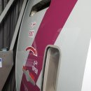 누에골민박 | 성발롬투어 #1 바르셀로나 Season 2