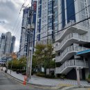 치코네일 | 부산 네일 잘하는 곳 남구 용호동 치코네일 내 돈 내산 후기