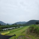 웅천읍 노천리534-1 이미지