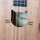 초등우쿨렐레 이미지