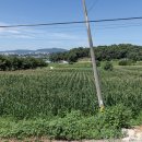 길풍목장 이미지