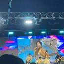 (주)제주왕 | 2026 제주 전농로 벚꽃축제 왕 벚꽃거리 혼자 가보기