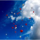 (주) 바이오스마트 이미지