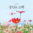 당신의 여름을 사랑합니다 / 이채 이미지