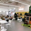 큐리키즈카페 이미지