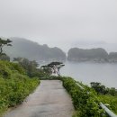 남구-084 네이버블로그