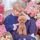 모아 dog 이미지