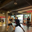 언더독 복싱 이미지