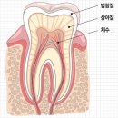 언제나치과의원