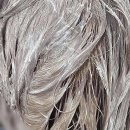 WR(인천광역시 서구)-[염곡로]-상-20 | 요즘 핫한 비지에프헤어 가정동 루원시티점 분위기 완전 반했어요!