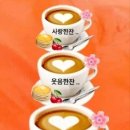 웃자보세 Daum카페