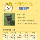 사랑한다, 멍 이미지