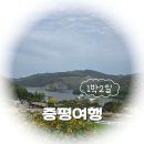 율리휴양로 | 힐링 그 자체 웰니스 in 충북 증평 자연휴양 1박2일 투어 프로그램 후기